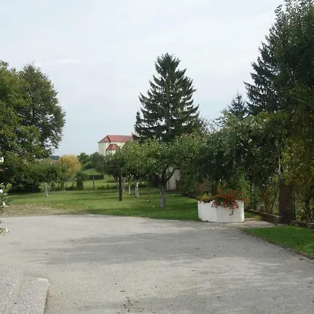 Apartment Mia Donja Pacetina Exterior photo