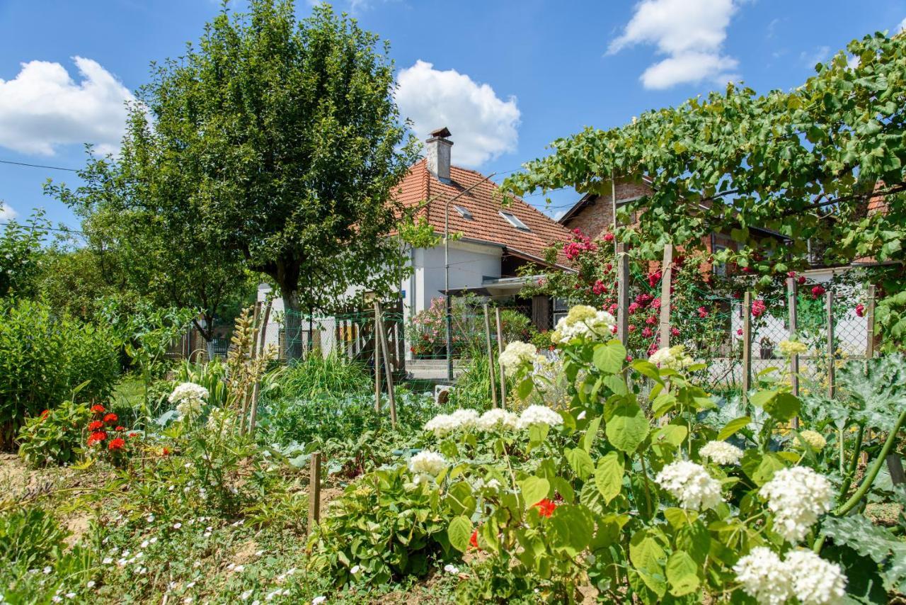 Mia Apartmán Donja Pacetina