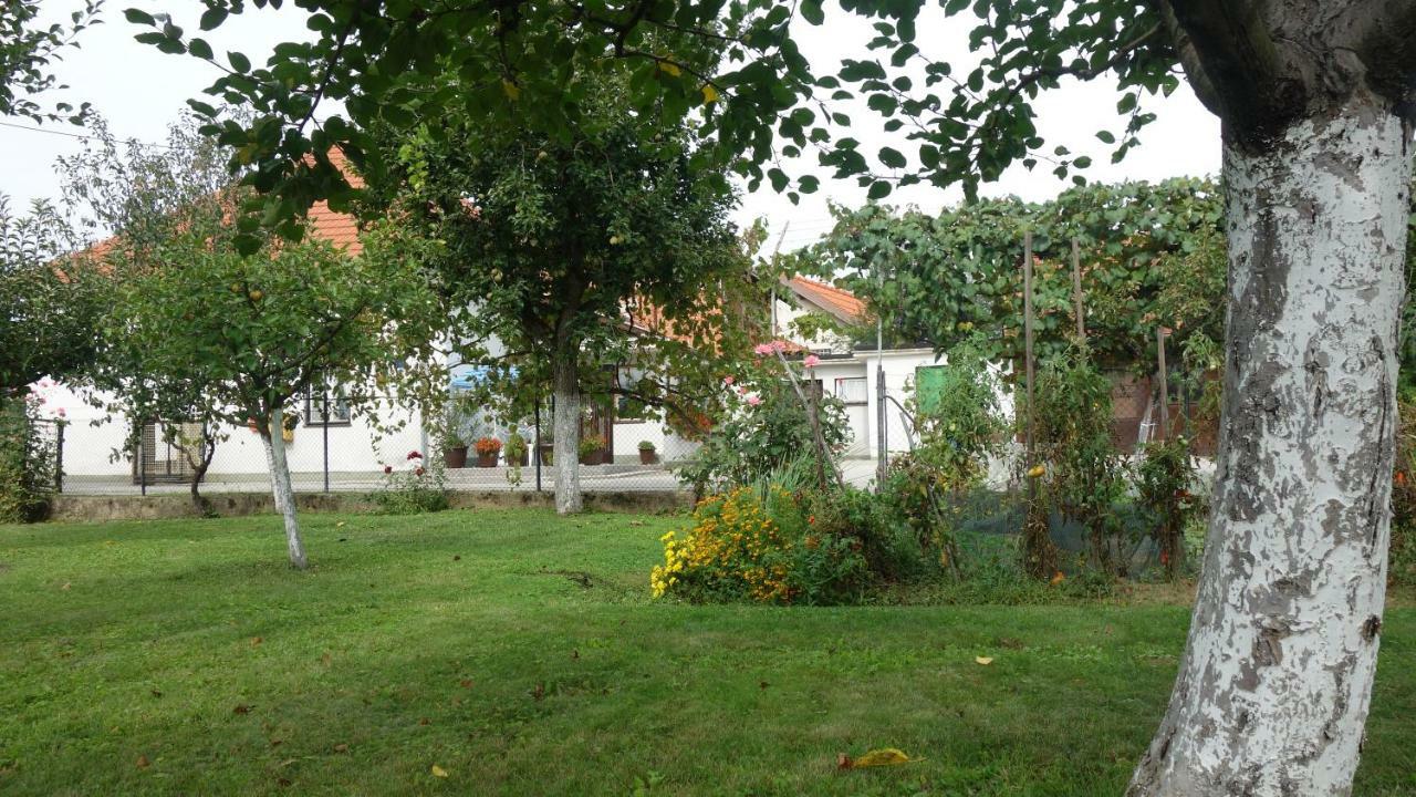 Apartment Mia Donja Pacetina