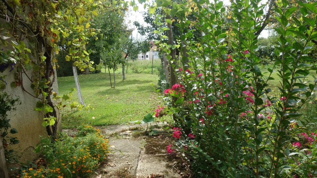 Apartment Mia Donja Pacetina