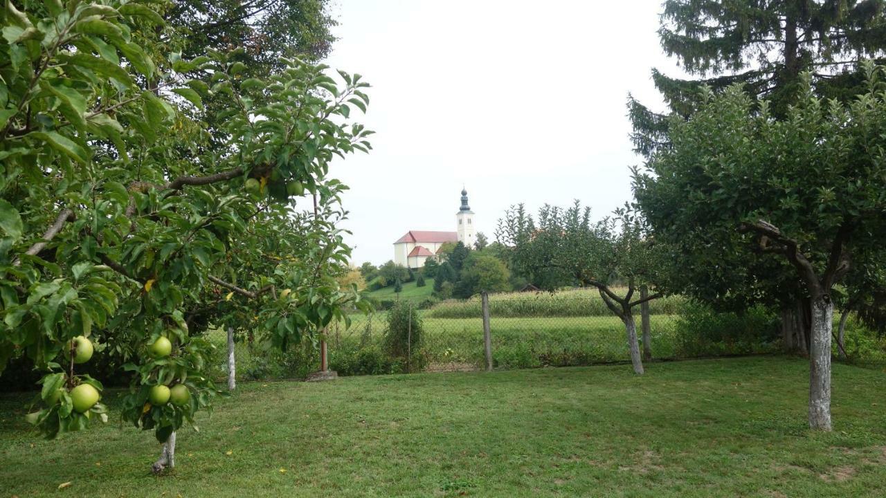 Mia * Donja Pacetina